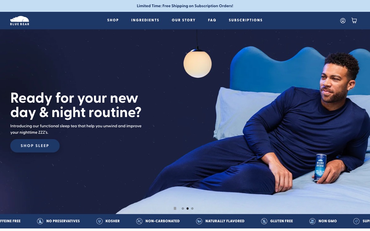 Blue Bear website homepage